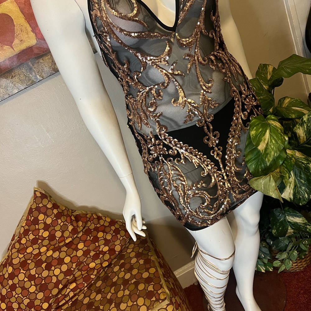 Sheer Black and Gold Embellished Dress